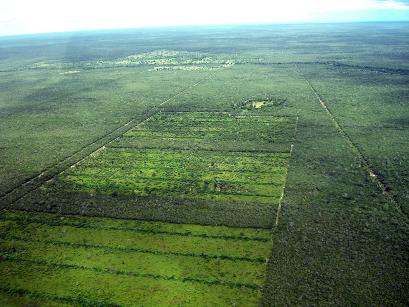 14.000 Hektar im Chaco - Alto Paraguay