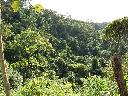 Land-Forstwirtschaftlich / Wald / Wiese / Ackerland in Guair� - Paraguay