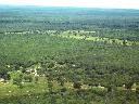 14.000 Hektar im Chaco - Alto Paraguay