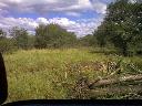 Land-Forstwirtschaftlich / Wald / Wiese / Ackerland in Alto Paraguay - Paraguay