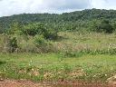 10 Hektar mit 600m Bachlauf 2000m von der Stadt Piribebuy entfernt