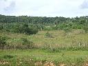 10 Hektar mit 600m Bachlauf 2000m von der Stadt Piribebuy entfernt