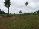 2 Hektar Grundstck 150m von der Asphaltstrasse entfernt - Immobilien Paraguay
