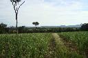 45 Hektar fruchtbares Farmland mit angrenzendem Flu