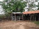 Der Rinderkorral mit Rinderwaage - Immobilien Paraguay